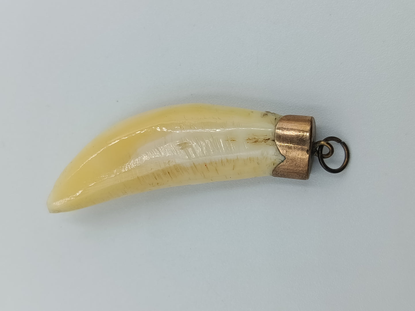 Vintage Anhänger mit Tierzahn und Messingfassung