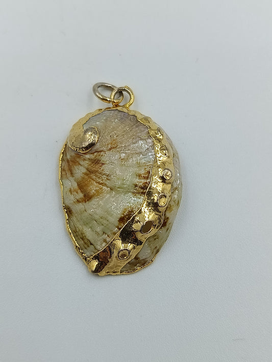 Muschel-Anhänger mit Goldfassung