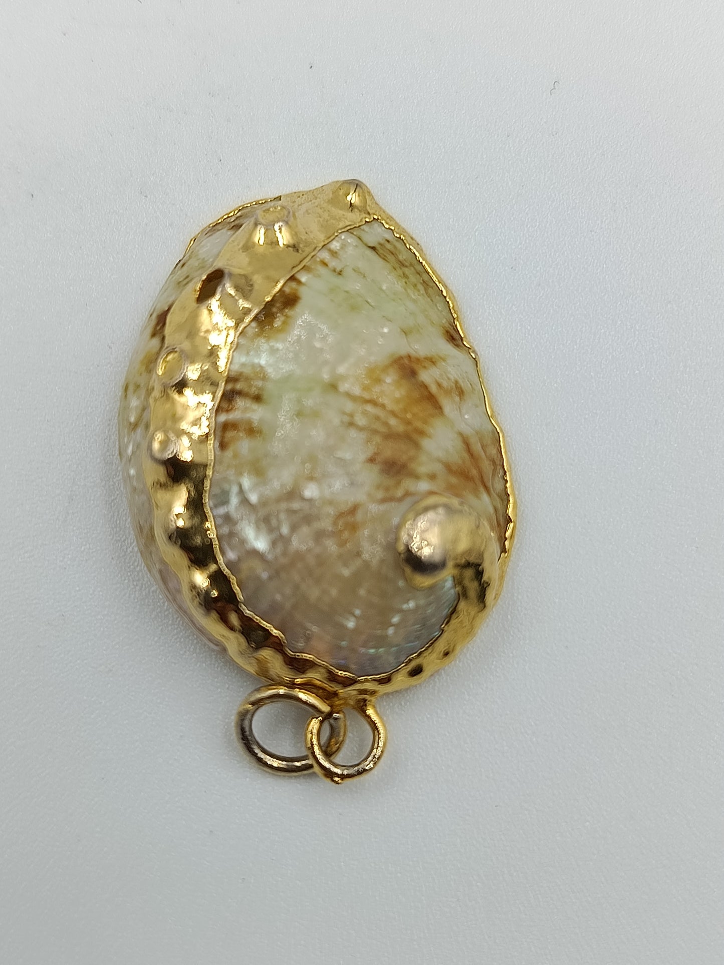 Muschel-Anhänger mit Goldfassung