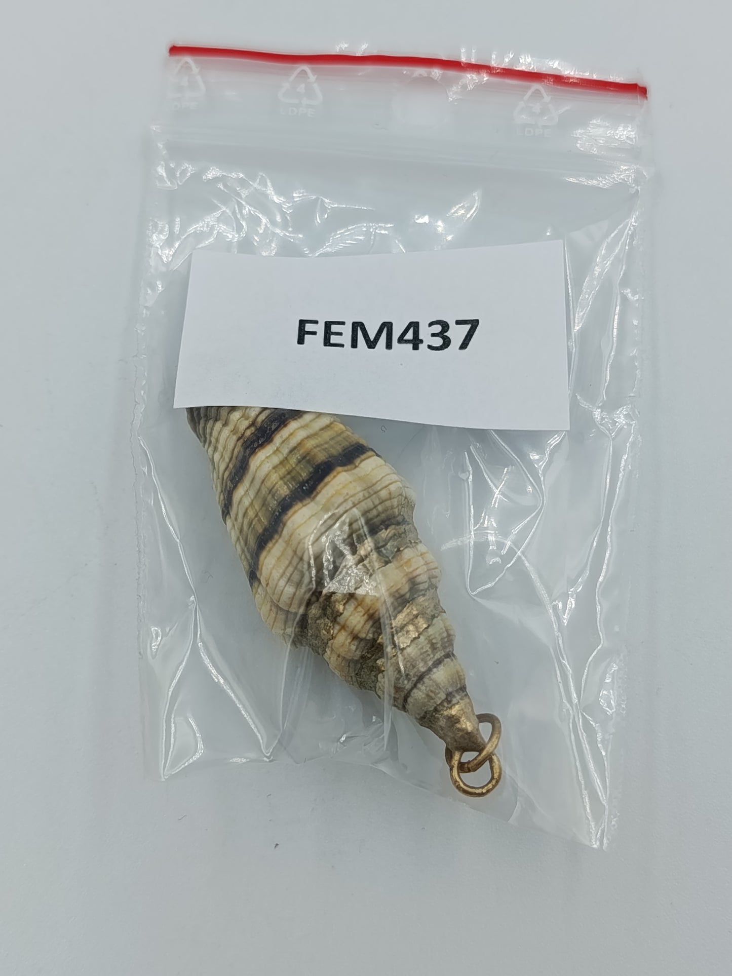 Anhänger aus echter Muschel&nbsp