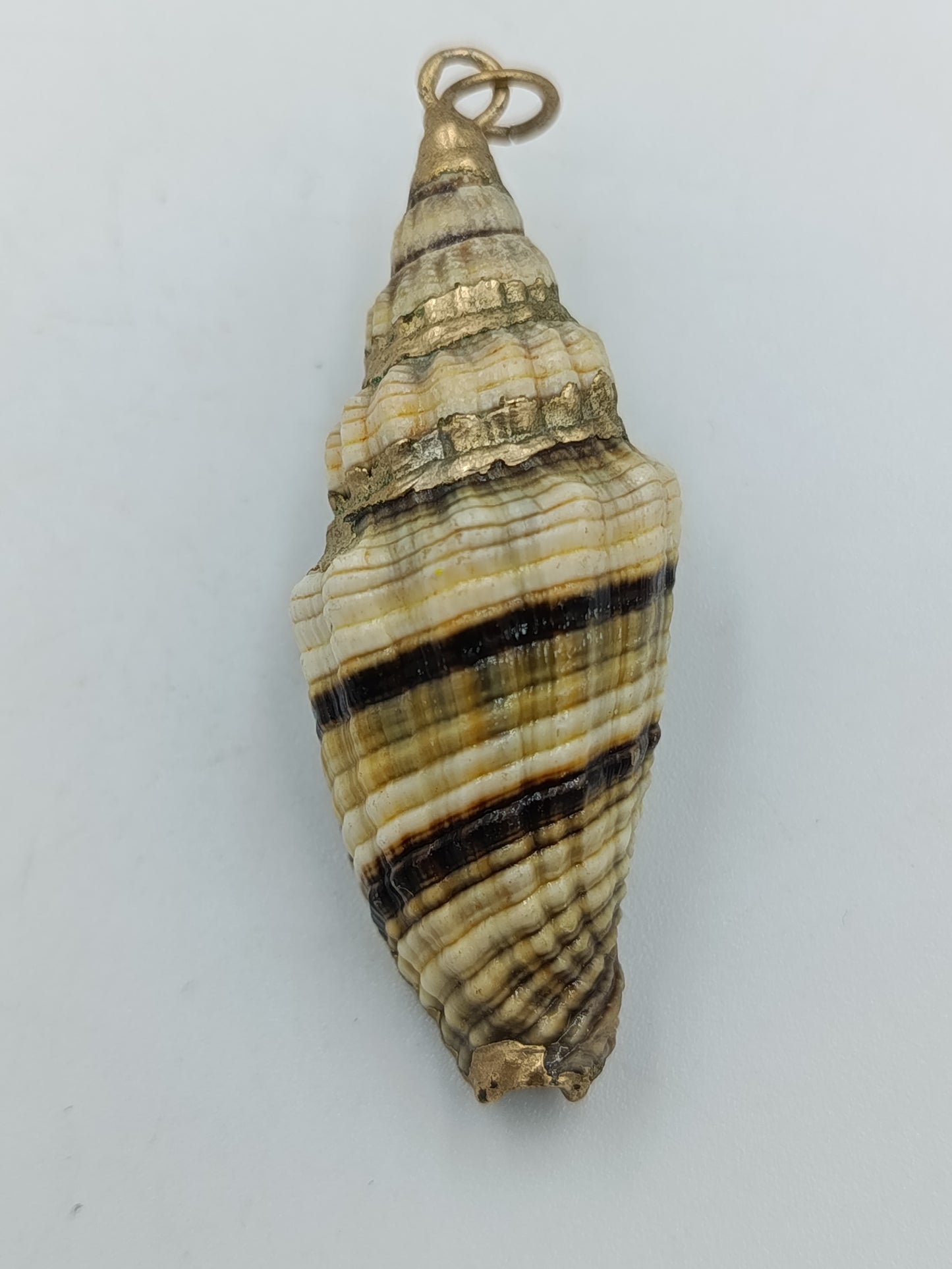 Anhänger aus echter Muschel&nbsp