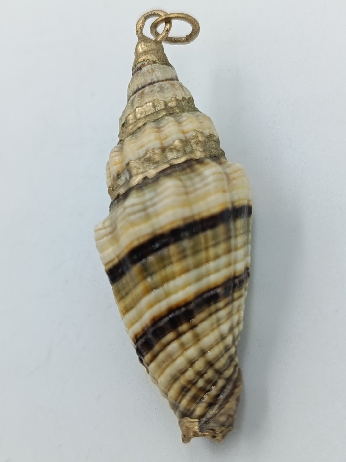 Anhänger aus echter Muschel&nbsp