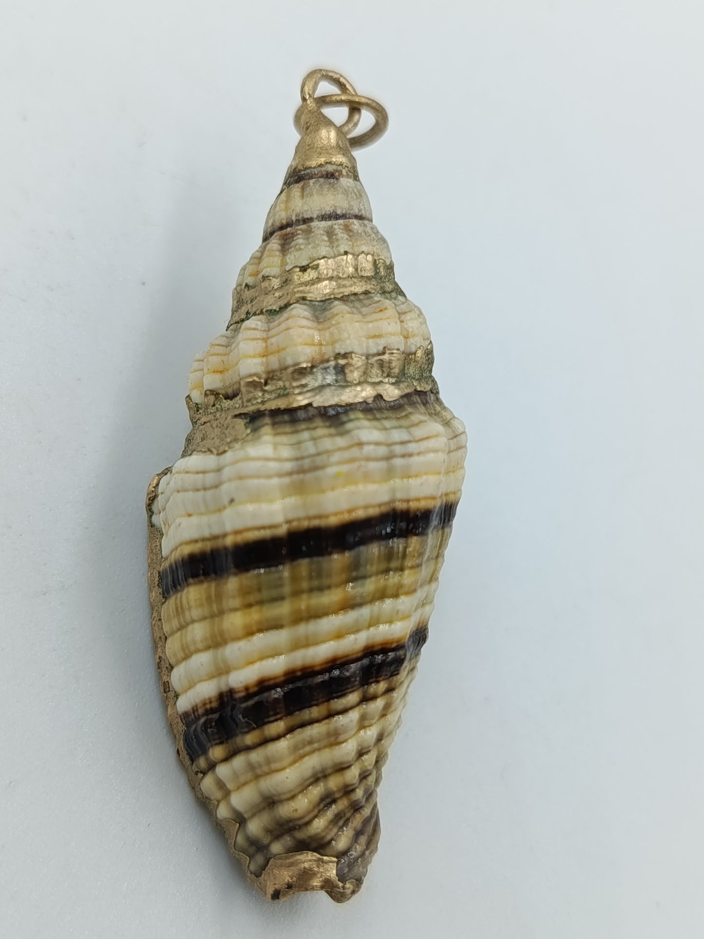 Anhänger aus echter Muschel&nbsp