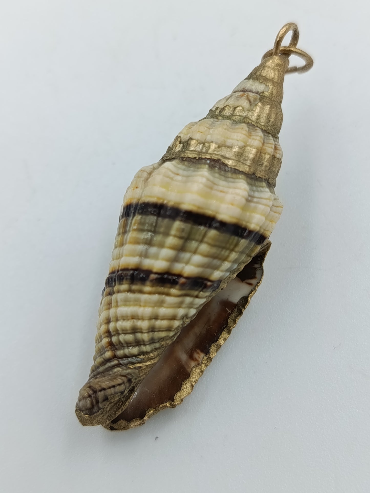 Anhänger aus echter Muschel&nbsp