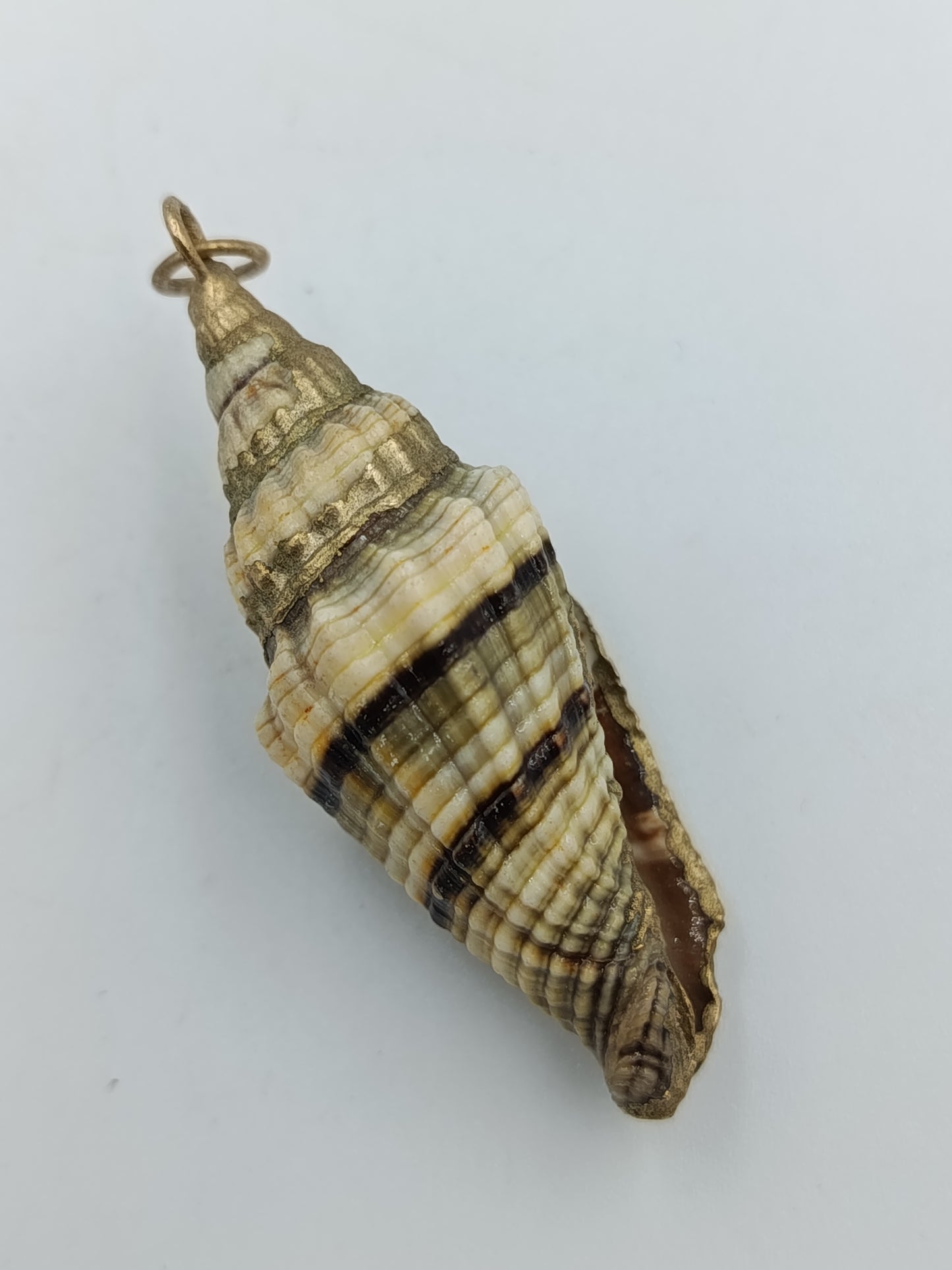 Anhänger aus echter Muschel&nbsp