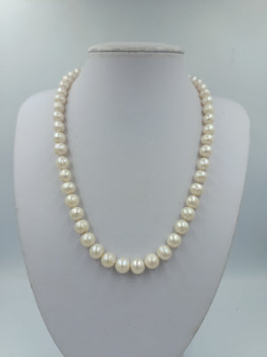 Perlenkette mit klassischem Glanz und zeitloser Eleganz für stilvolle Auftritte