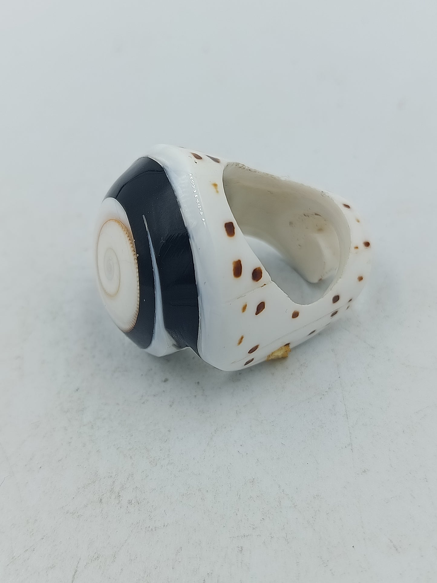 Großer Ring mit natürlicher Schneckenoptik in Schwarz Weiß mit einzigartigem Muster