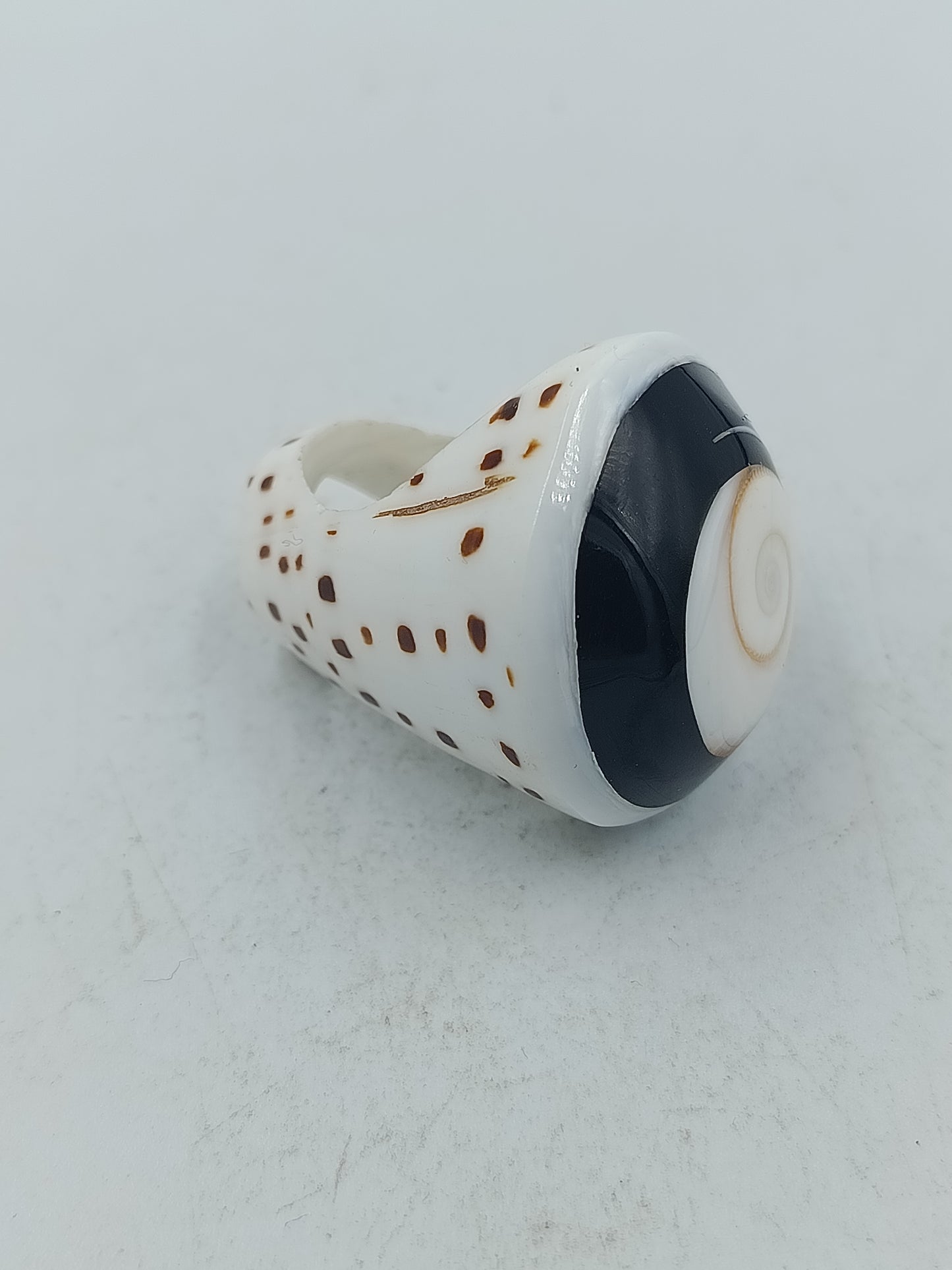 Großer Ring mit natürlicher Schneckenoptik in Schwarz Weiß mit einzigartigem Muster