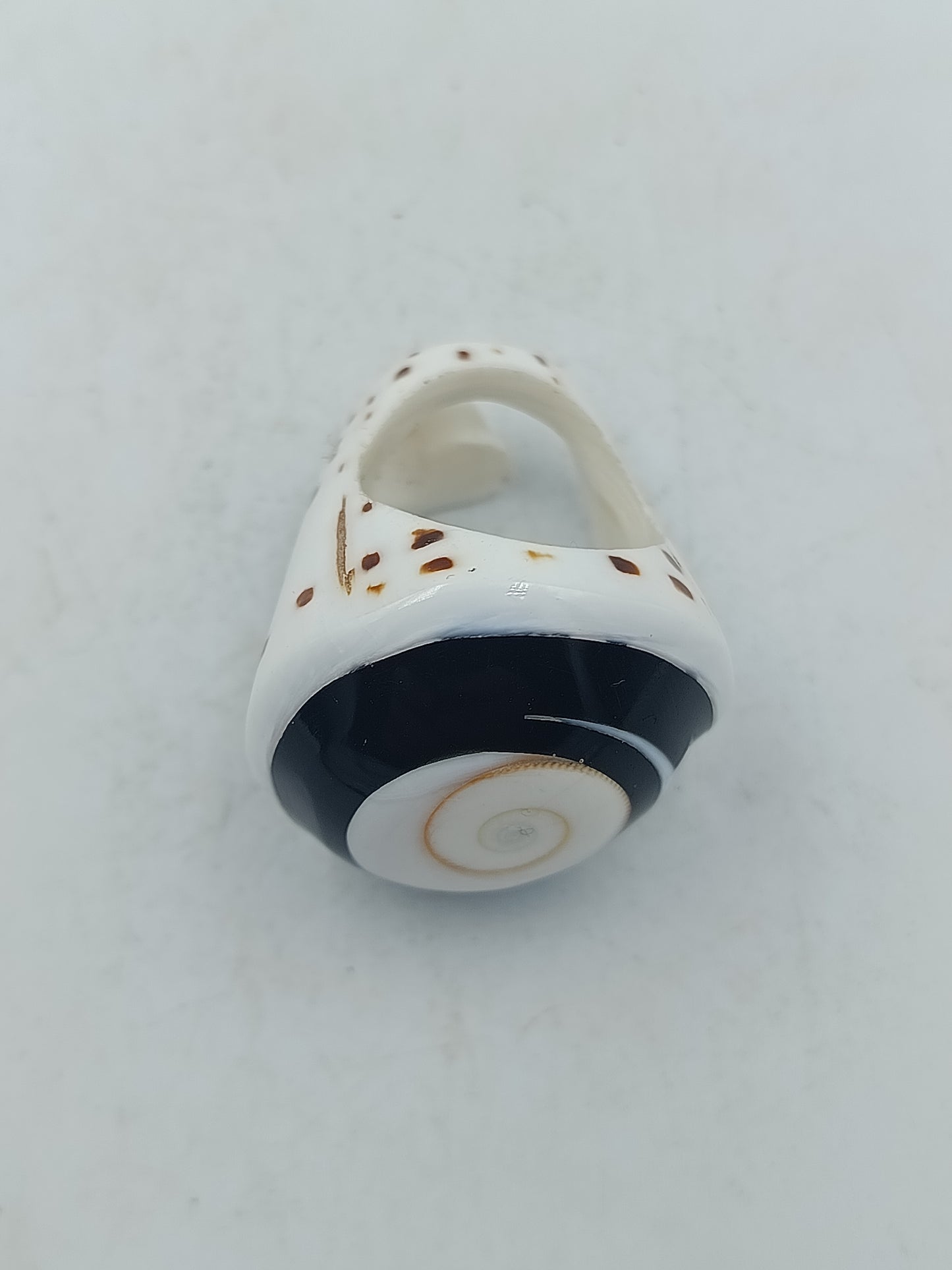 Großer Ring mit natürlicher Schneckenoptik in Schwarz Weiß mit einzigartigem Muster