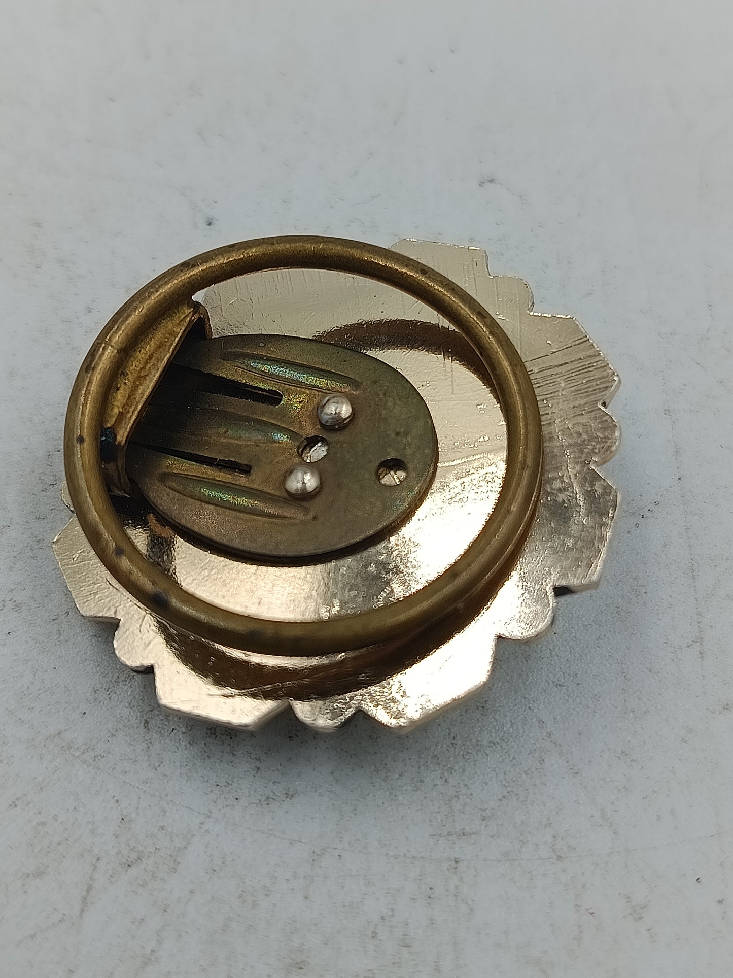 Cilpper in Goldoptik mit rotem Steindesign und   Akzent für ausdrucksstarke Eleganz