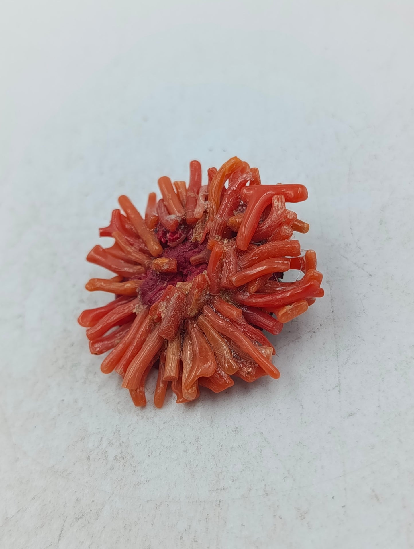 Ausdrucksstarke Brosche aus rotem Korallenlook mit plastischer Struktur