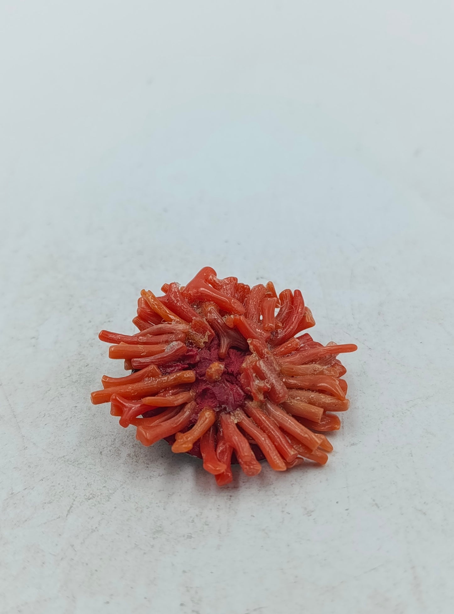 Ausdrucksstarke Brosche aus rotem Korallenlook mit plastischer Struktur