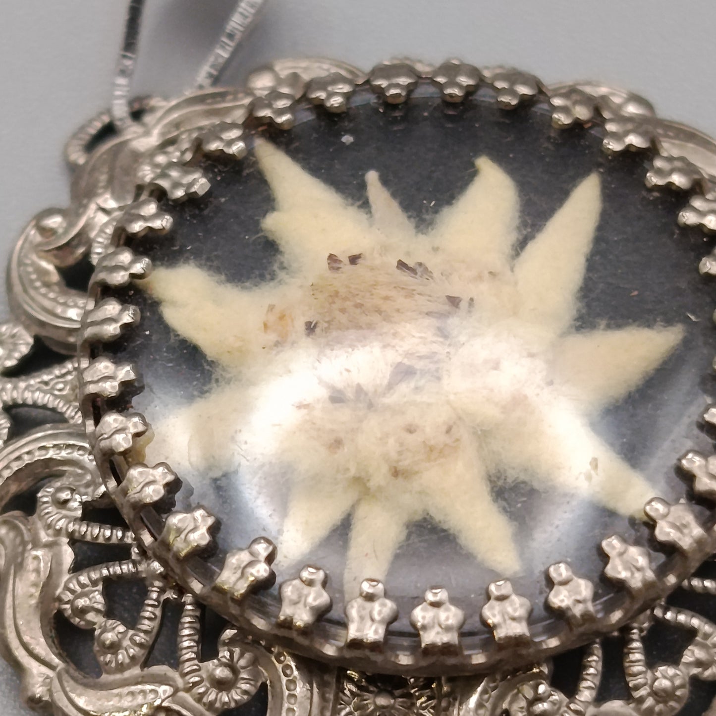 Anhänger mit echtem Edelweiß – Traditioneller Silberschmuck