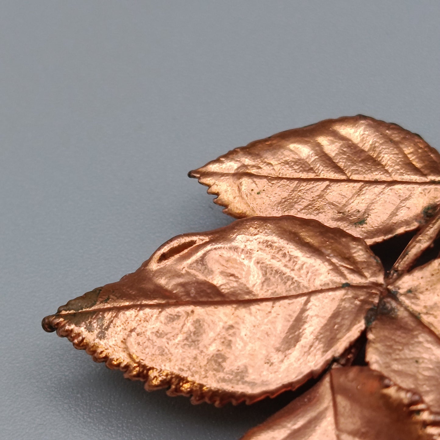 Elegante Kupferbrosche – Naturinspiriertes Design