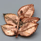 Elegante Kupferbrosche – Naturinspiriertes Design