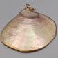 Eleganter Muschel Anhänger – Schimmerndes Design