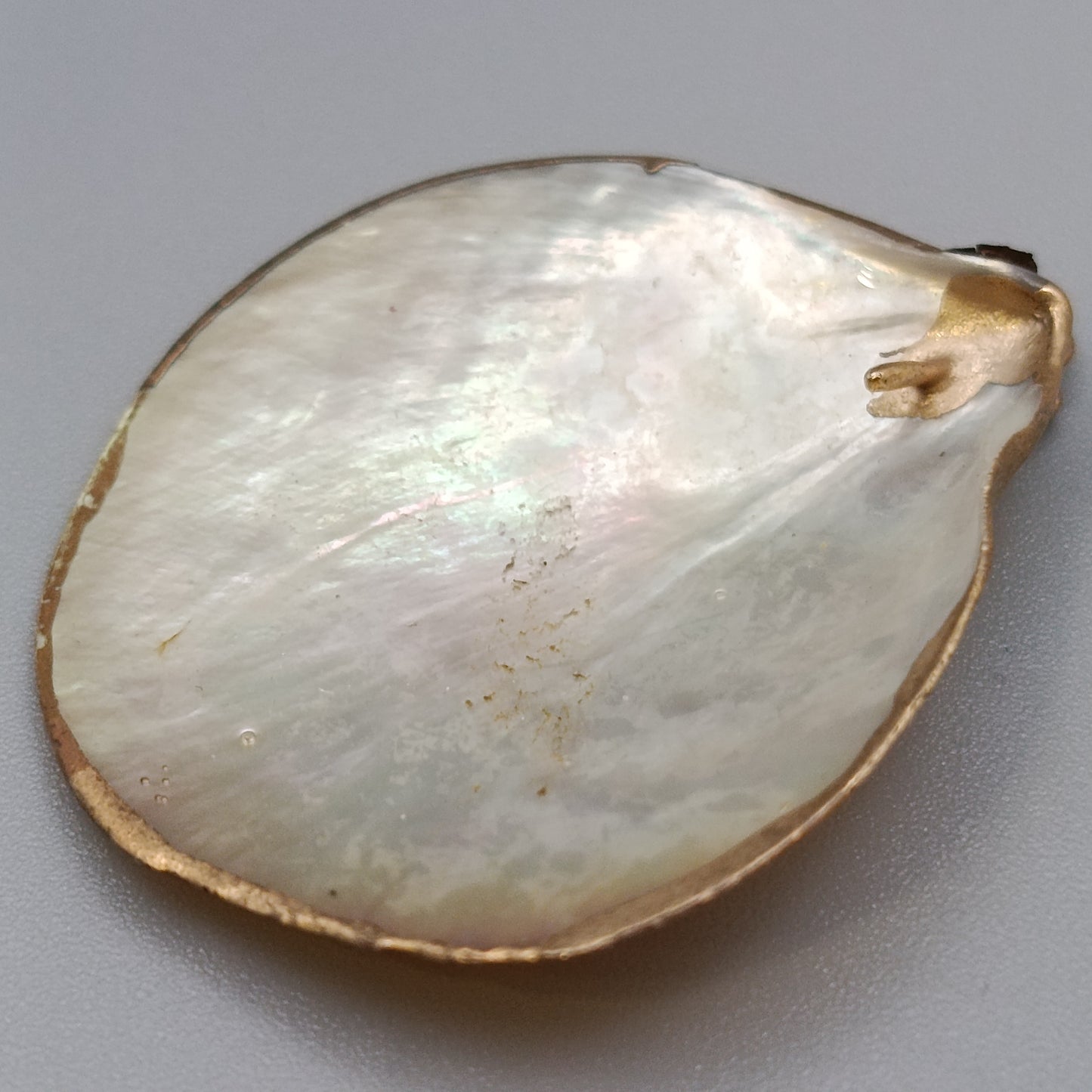 Eleganter Muschel Anhänger – Schimmerndes Design