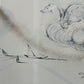 Zeichnung im Rahmen (Fliegendes Pferd) 64x54cm