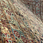 Antiker Orientteppich Handgeknüpft Agra Naturfarben 540x435 cm Signiert