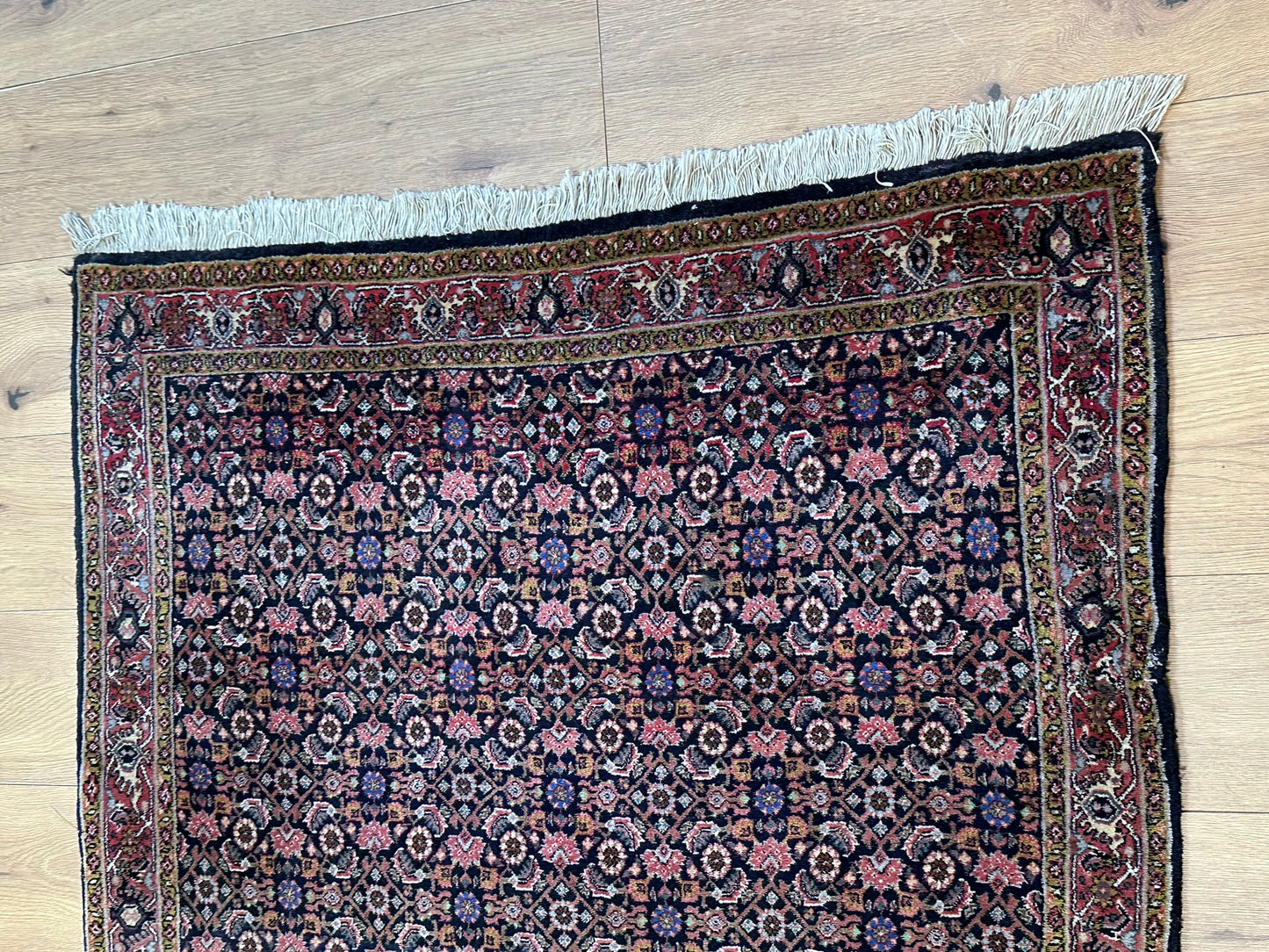 Orientteppich handgeknüpft Bidjar 170x112 cm