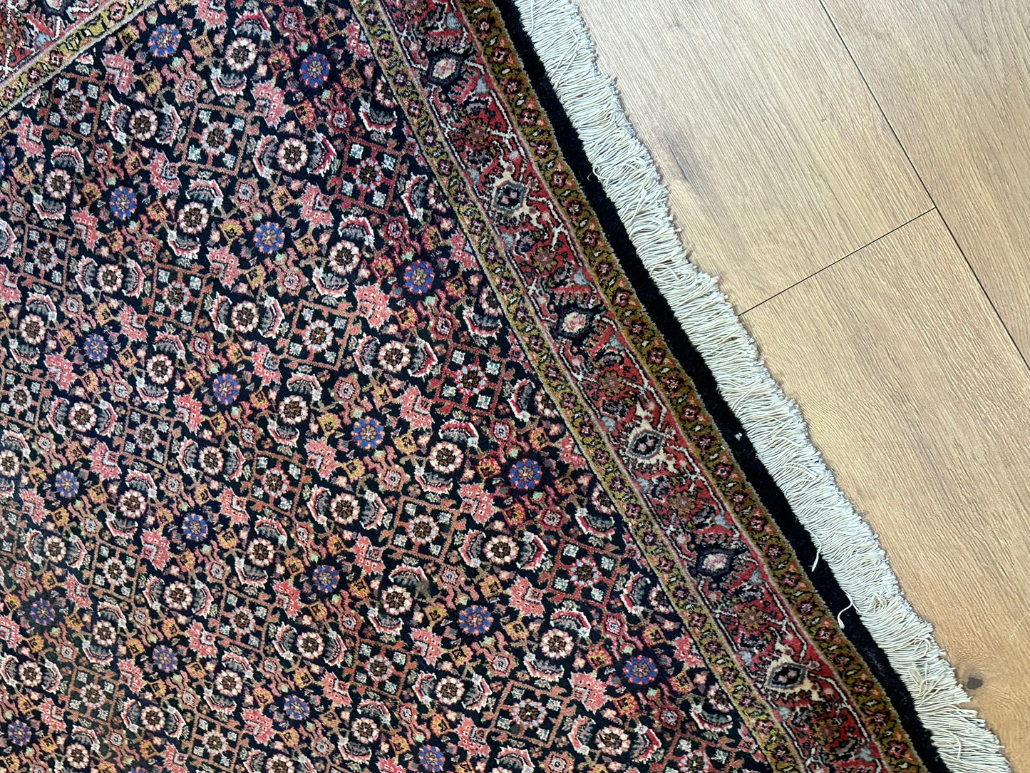 Orientteppich handgeknüpft Bidjar 170x112 cm