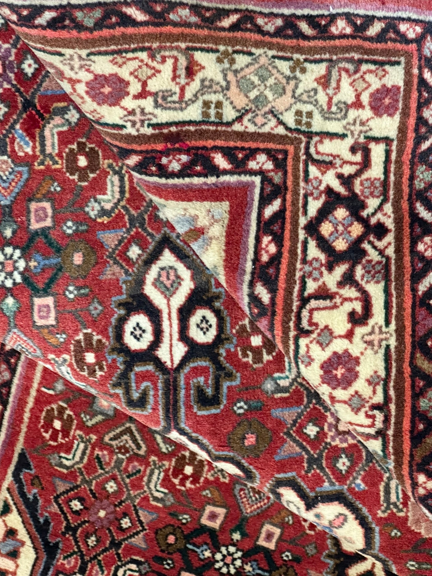 Orientteppich handgeknüpft Bidjar Rosen 167x103 cm