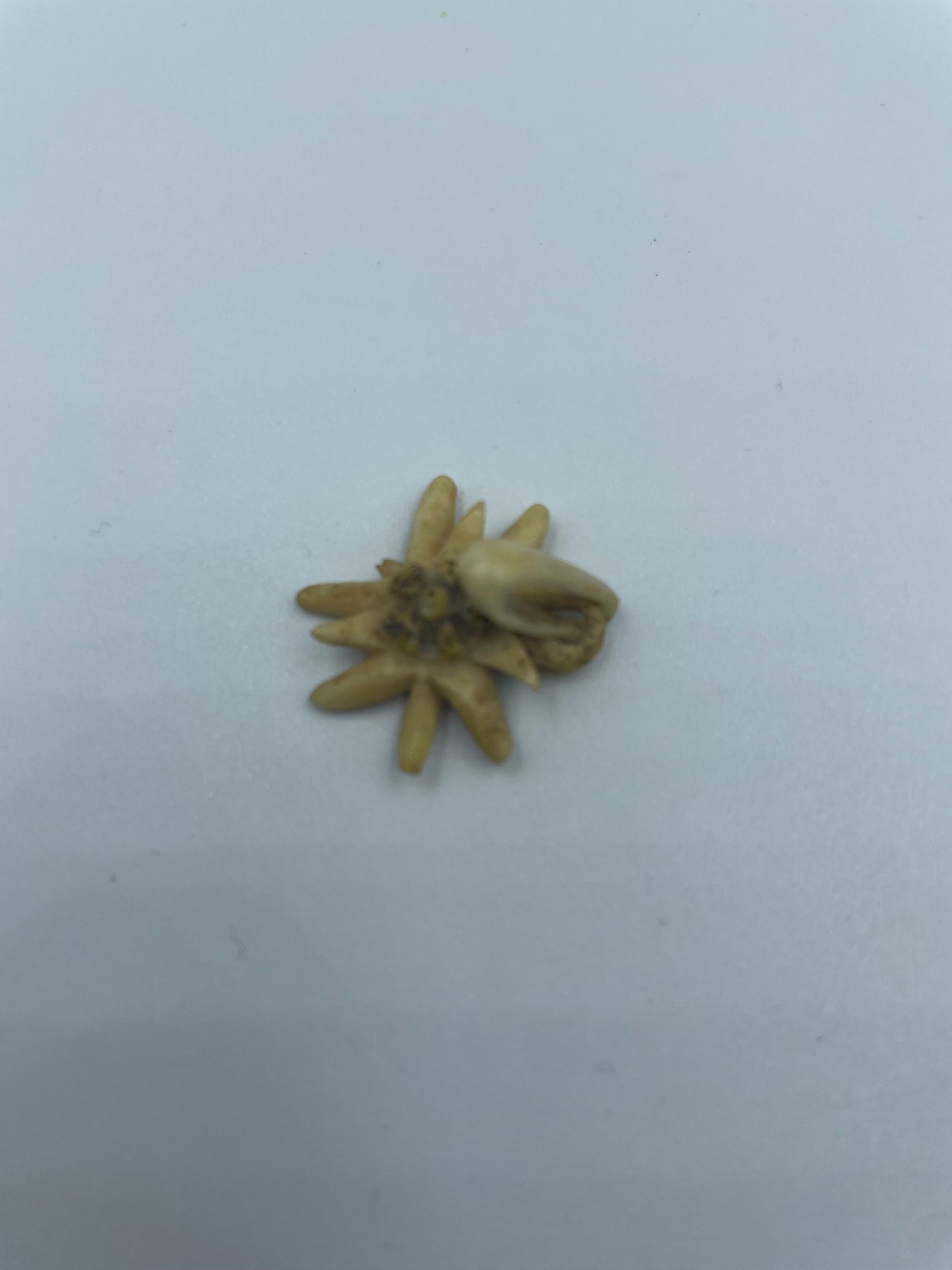 Antiker Anhänger mit floraler Verzierung aus Afrika