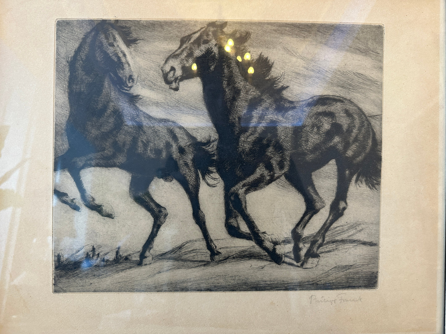 Philipp FRANCK (1860-1944) Original Radierung Spielende Pferde 40x50cm