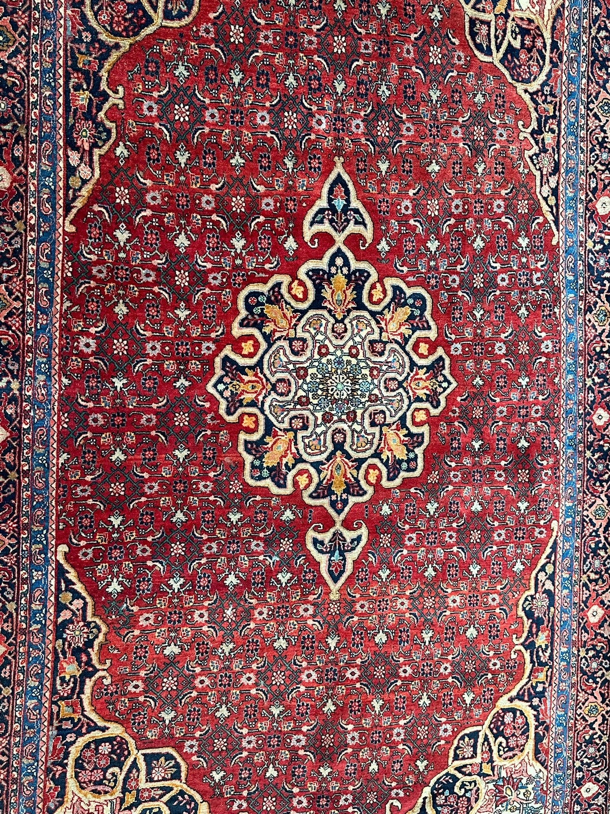 Orientteppich handgeknüpft Bidjar 222x140 cm
