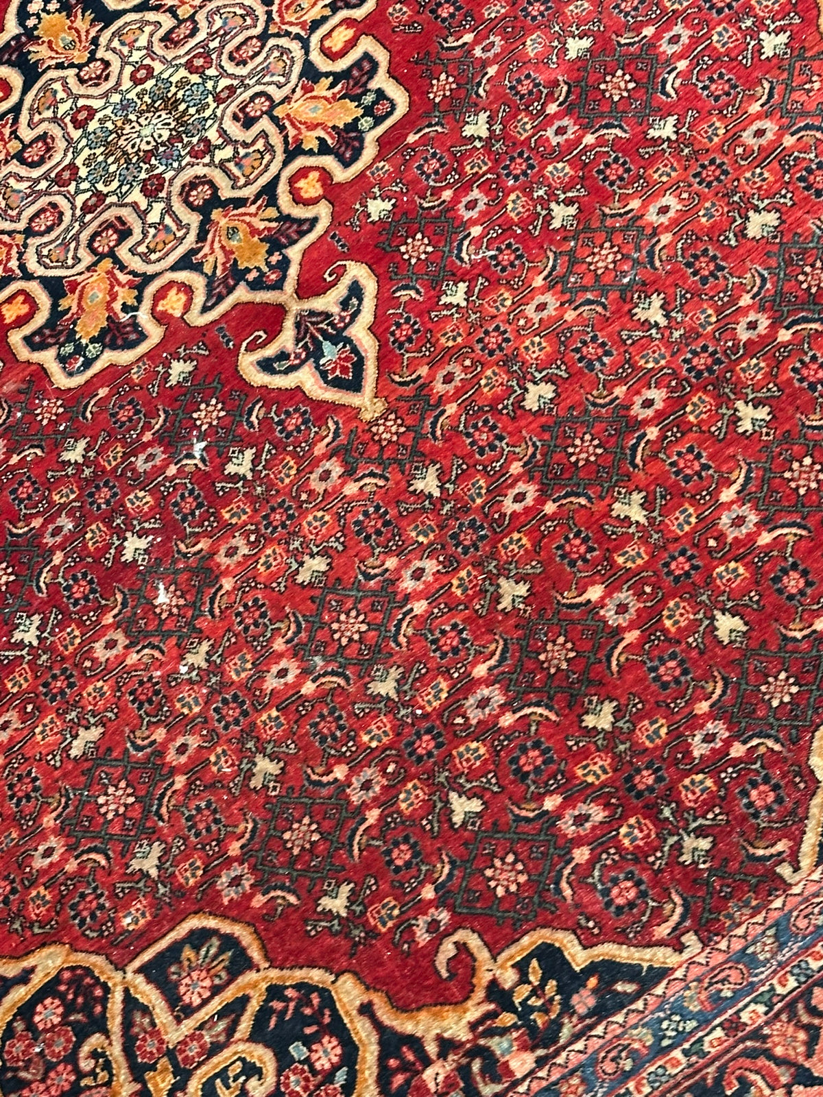Orientteppich handgeknüpft Bidjar 222x140 cm