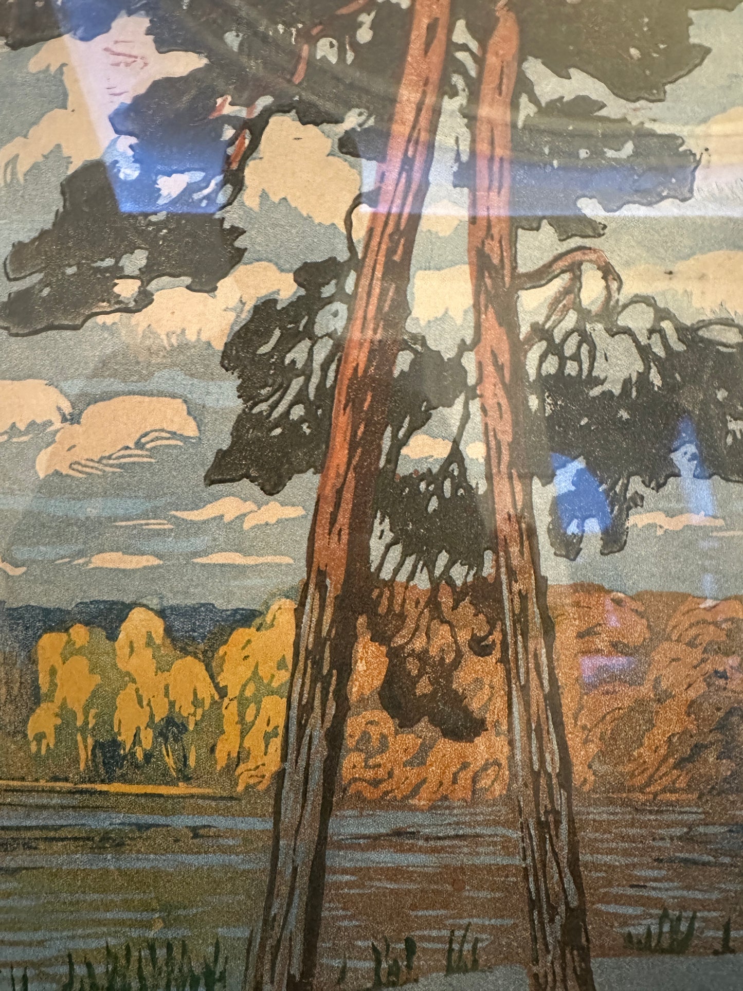 Helene Maß (1871-1955) Original Farbholzschnitt Sonnige Uferlandschaft 50x60cm