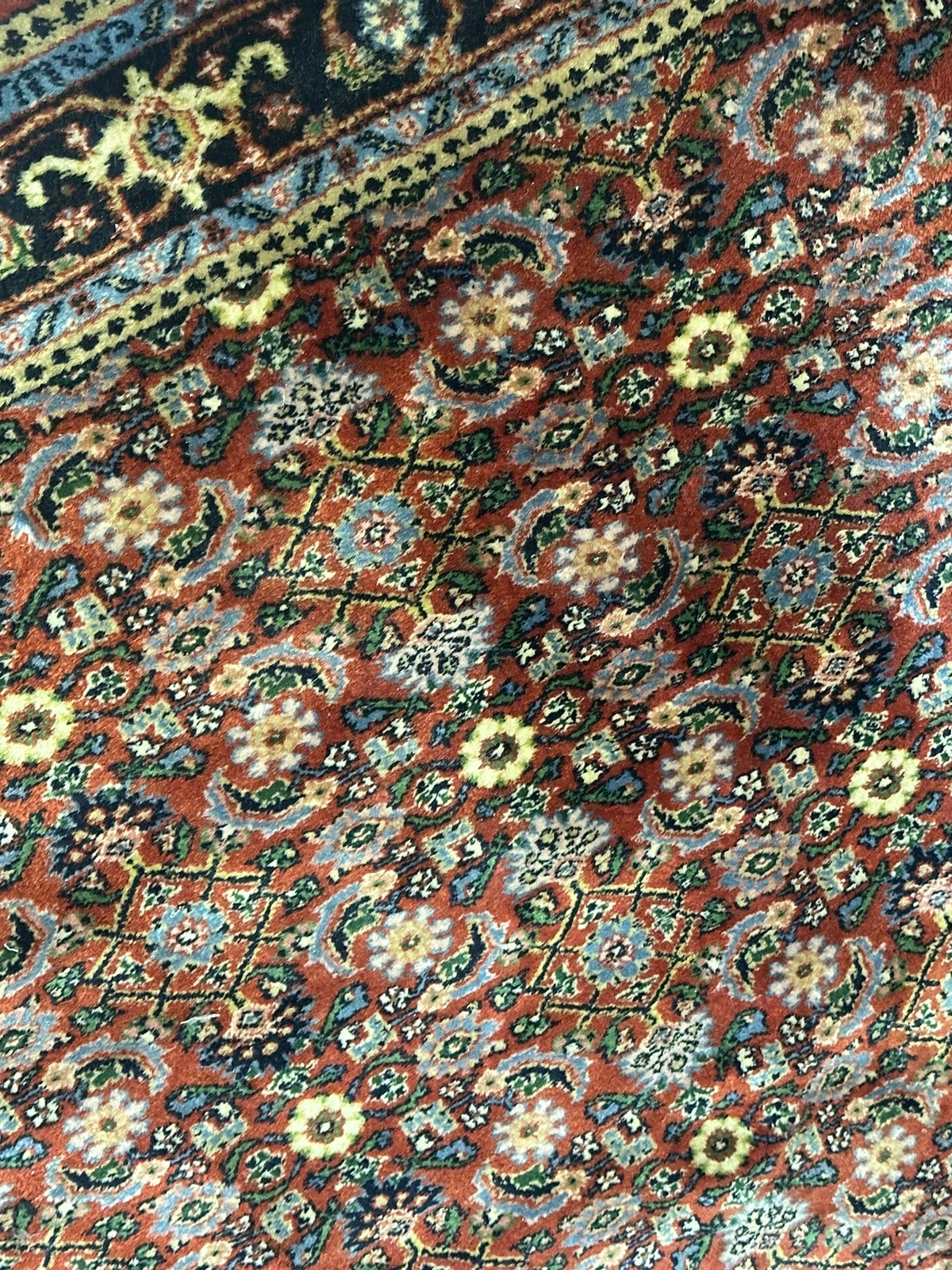 Orientteppich handgeknüpft Indian Bidjar 165x116 cm