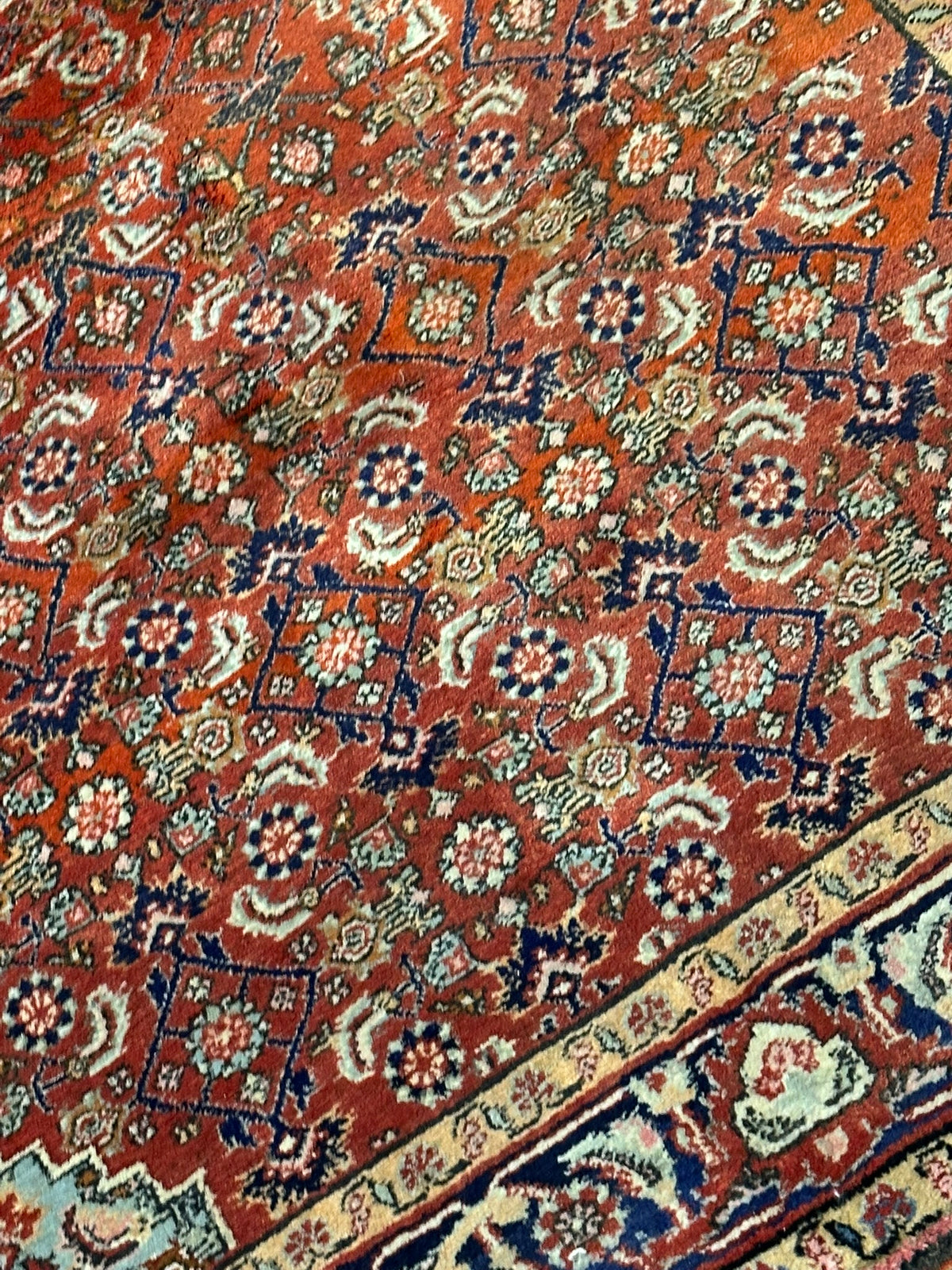 Orientteppich handgeknüpft Bidjar Top 160x113 cm