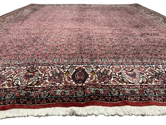 Handgeknüpfter Bidjar Teppich Wolle 255x210 cm Neu