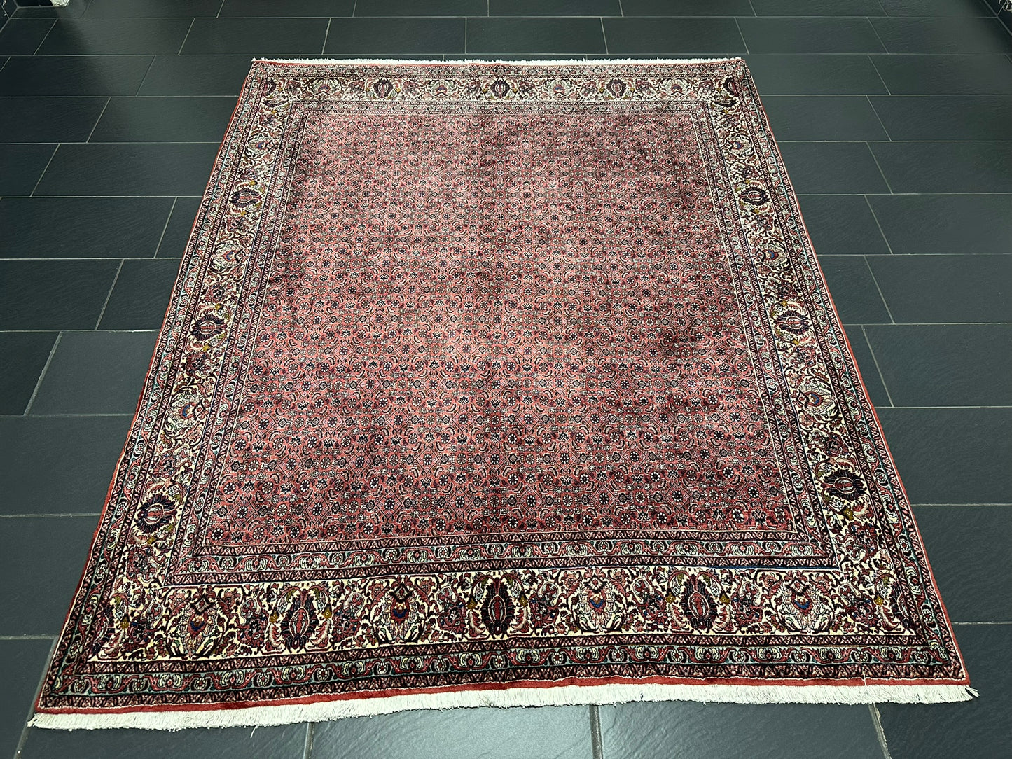 Handgeknüpfter Bidjar Teppich Wolle 255x210 cm Neu