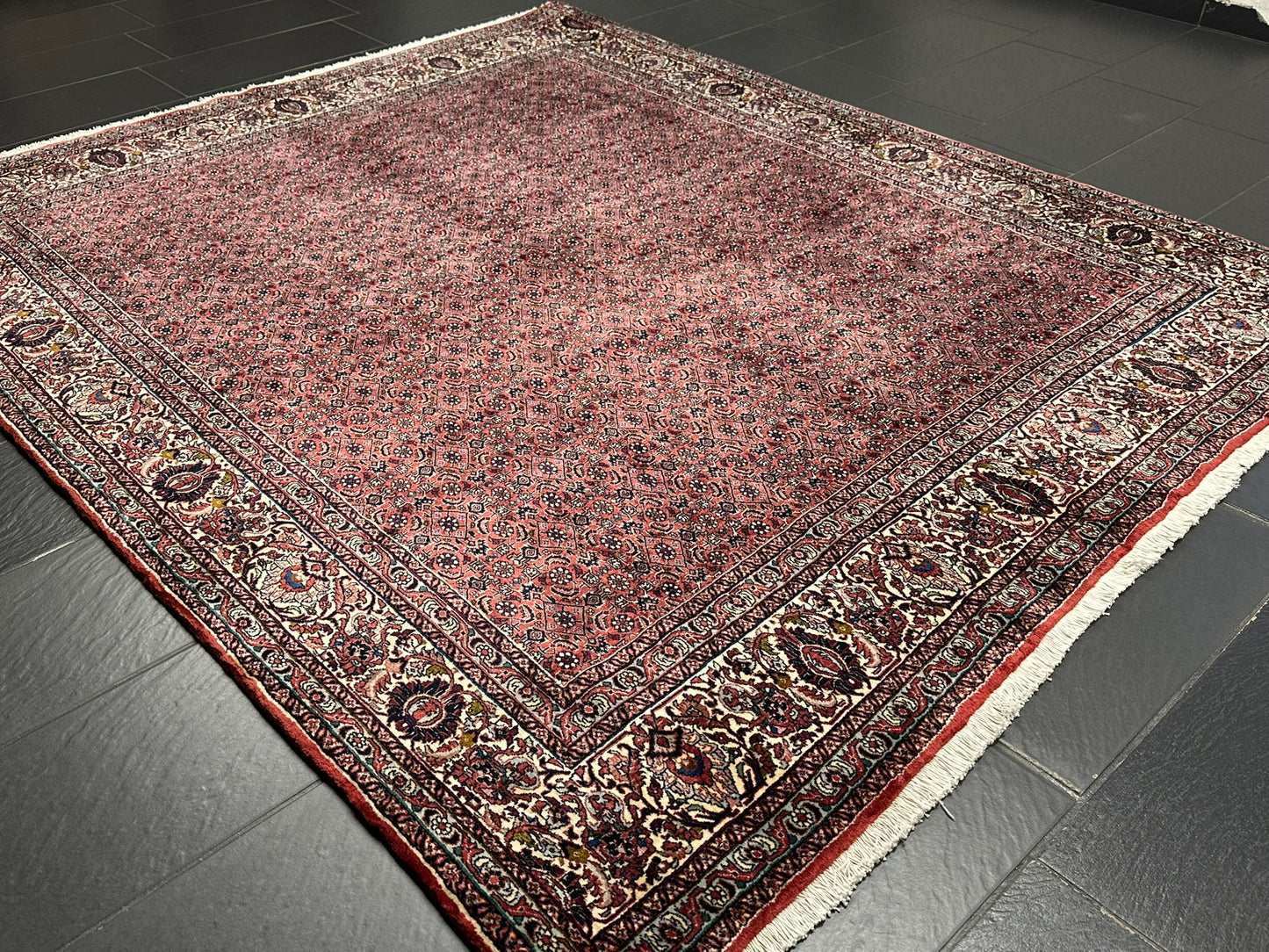 Handgeknüpfter Bidjar Teppich Wolle 255x210 cm Neu