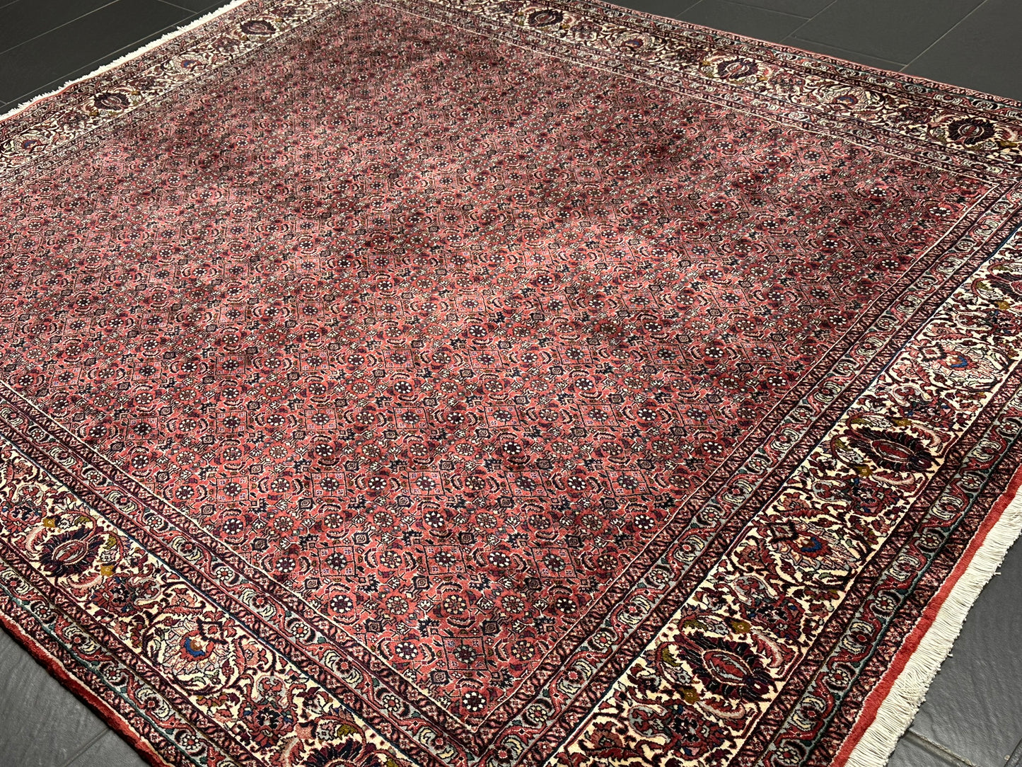Handgeknüpfter Bidjar Teppich Wolle 255x210 cm Neu