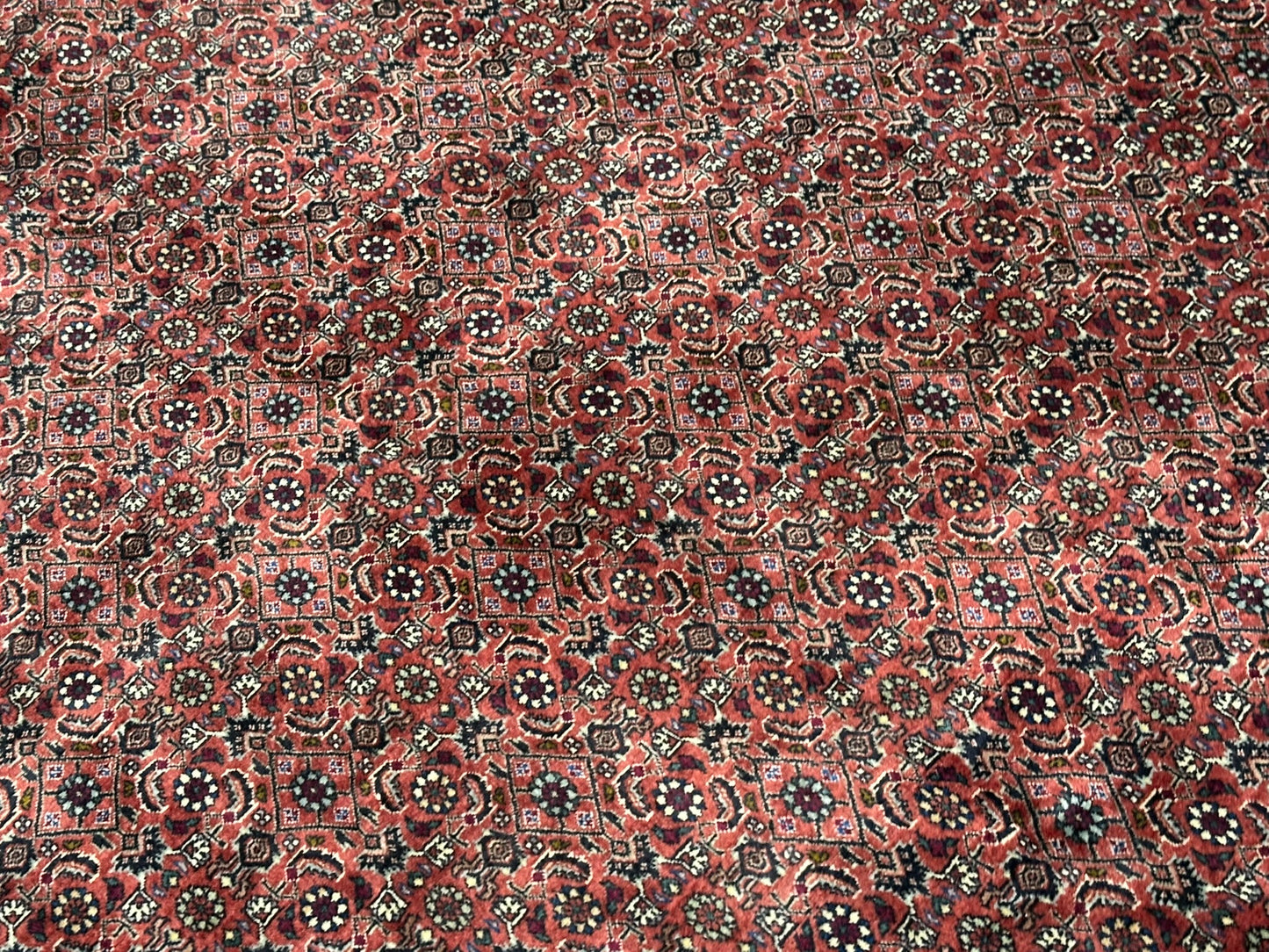Handgeknüpfter Bidjar Teppich Wolle 255x210 cm Neu