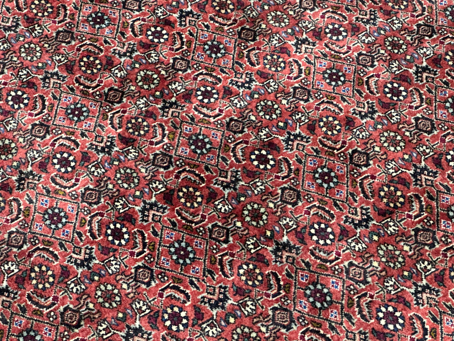 Handgeknüpfter Bidjar Teppich Wolle 255x210 cm Neu