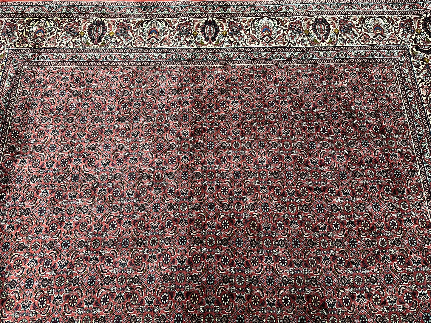Handgeknüpfter Bidjar Teppich Wolle 255x210 cm Neu