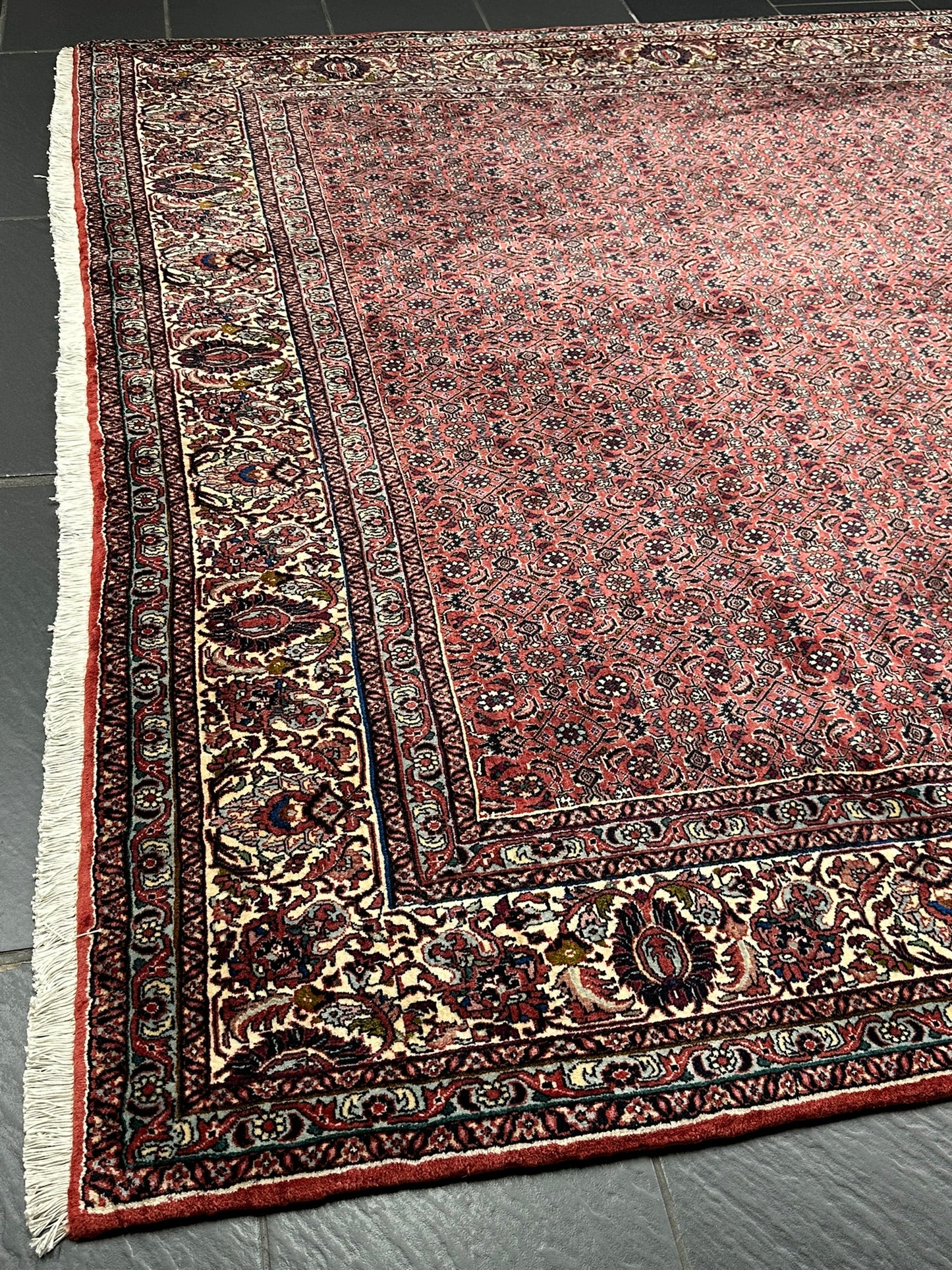 Handgeknüpfter Bidjar Teppich Wolle 255x210 cm Neu