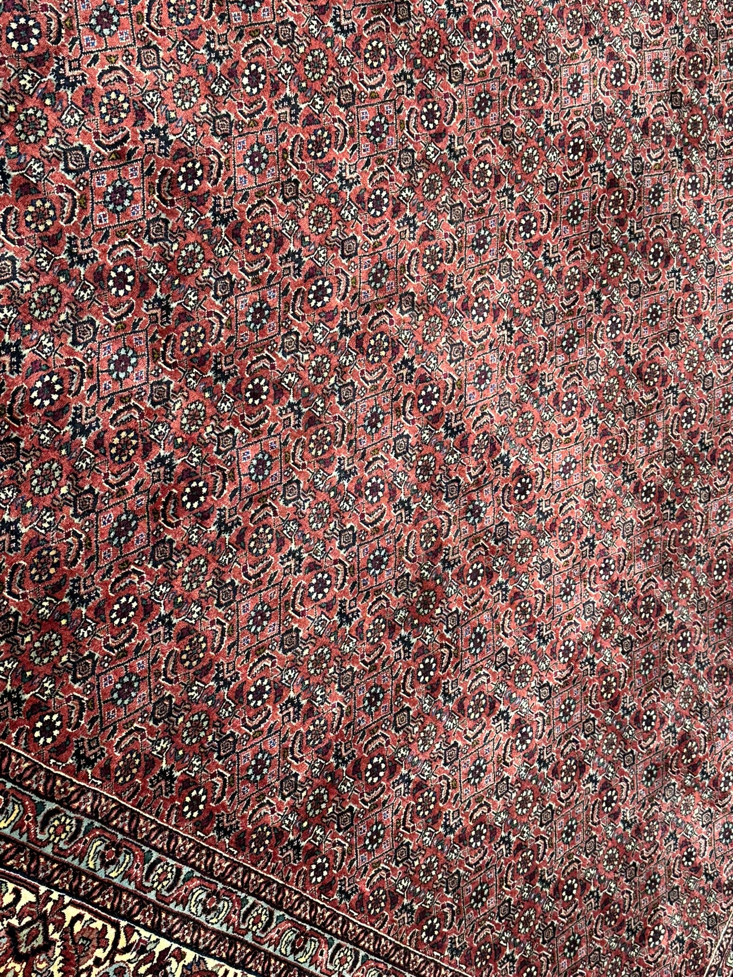 Handgeknüpfter Bidjar Teppich Wolle 255x210 cm Neu