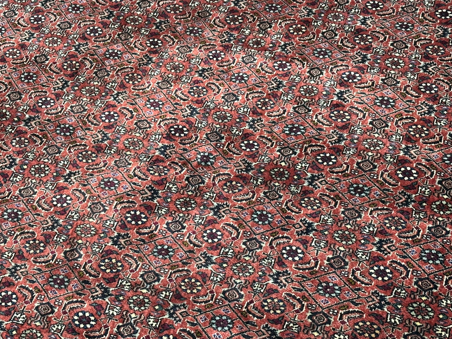 Handgeknüpfter Bidjar Teppich Wolle 255x210 cm Neu