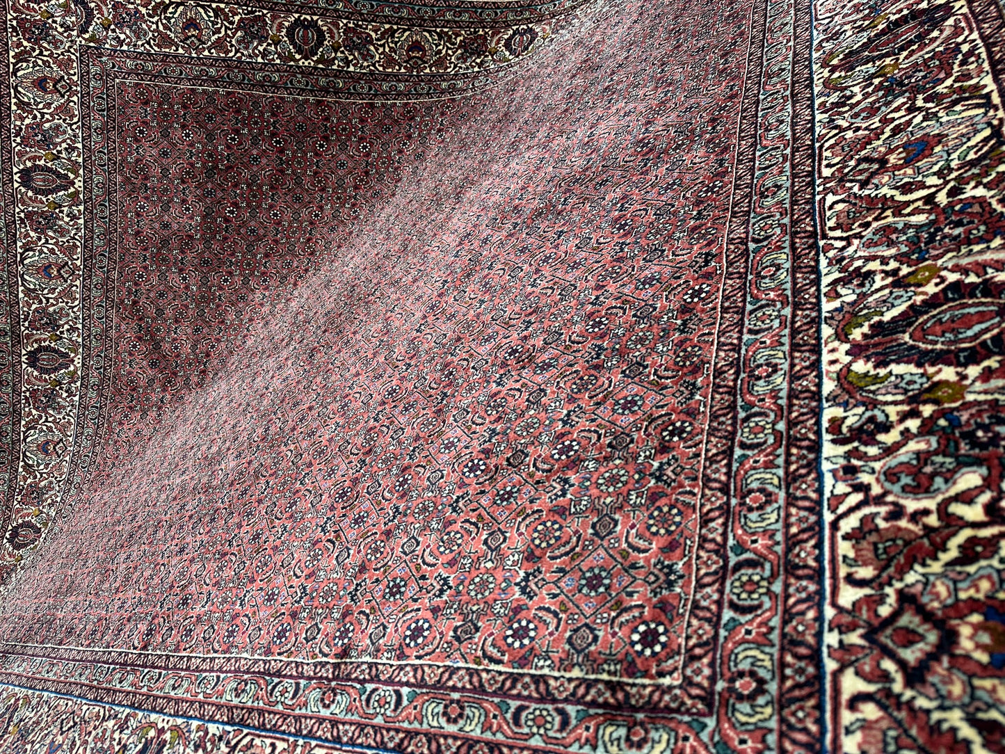 Handgeknüpfter Bidjar Teppich Wolle 255x210 cm Neu