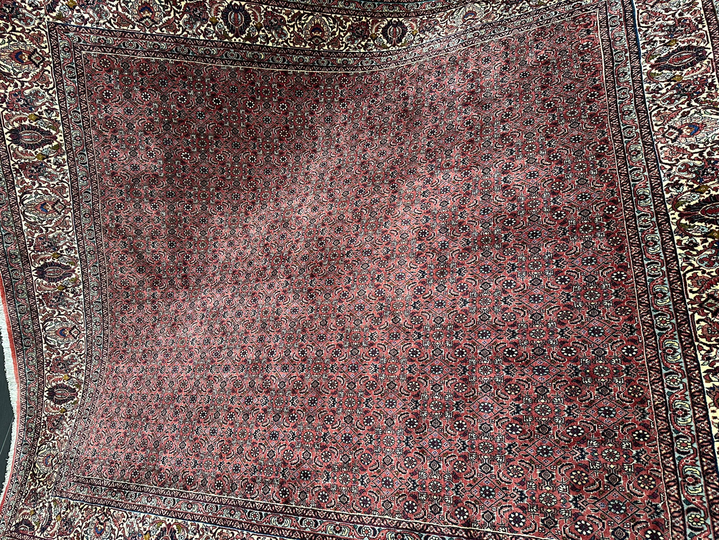 Handgeknüpfter Bidjar Teppich Wolle 255x210 cm Neu