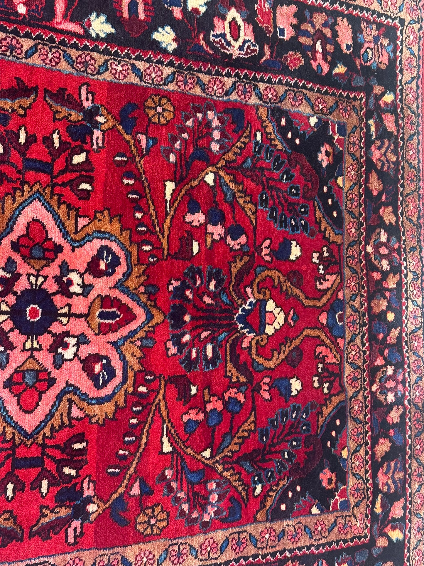 Orientteppich handgeknüpft Lilian Wolle 285x150 cm