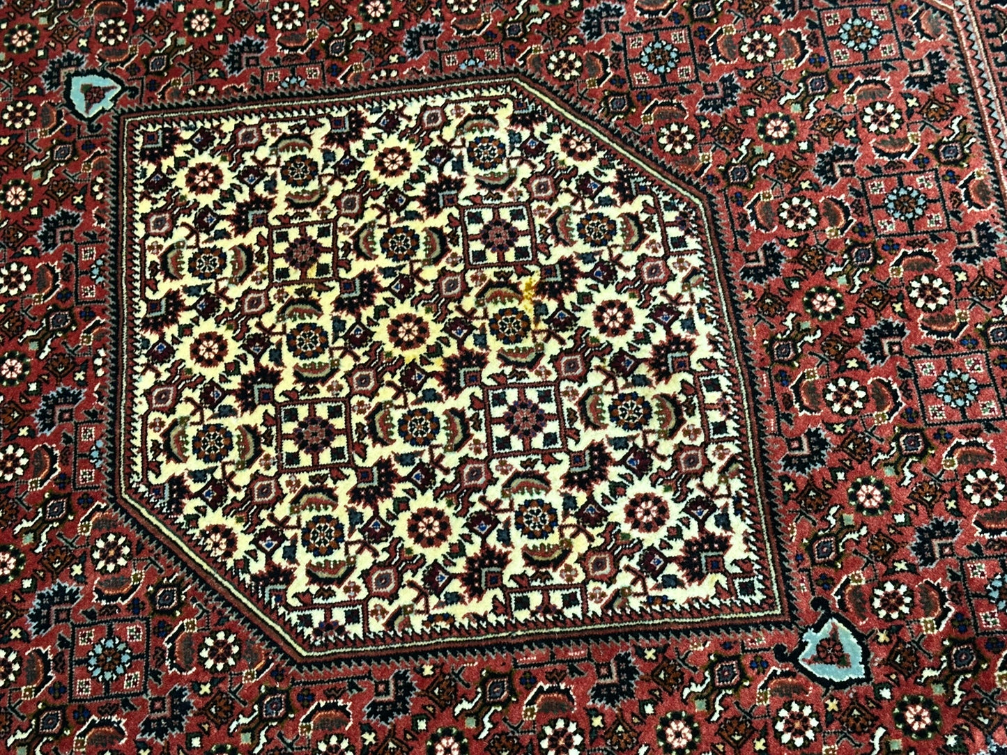 Handgeknüpfter Bidjar Medaillon Teppich Wolle 295x200 cm
