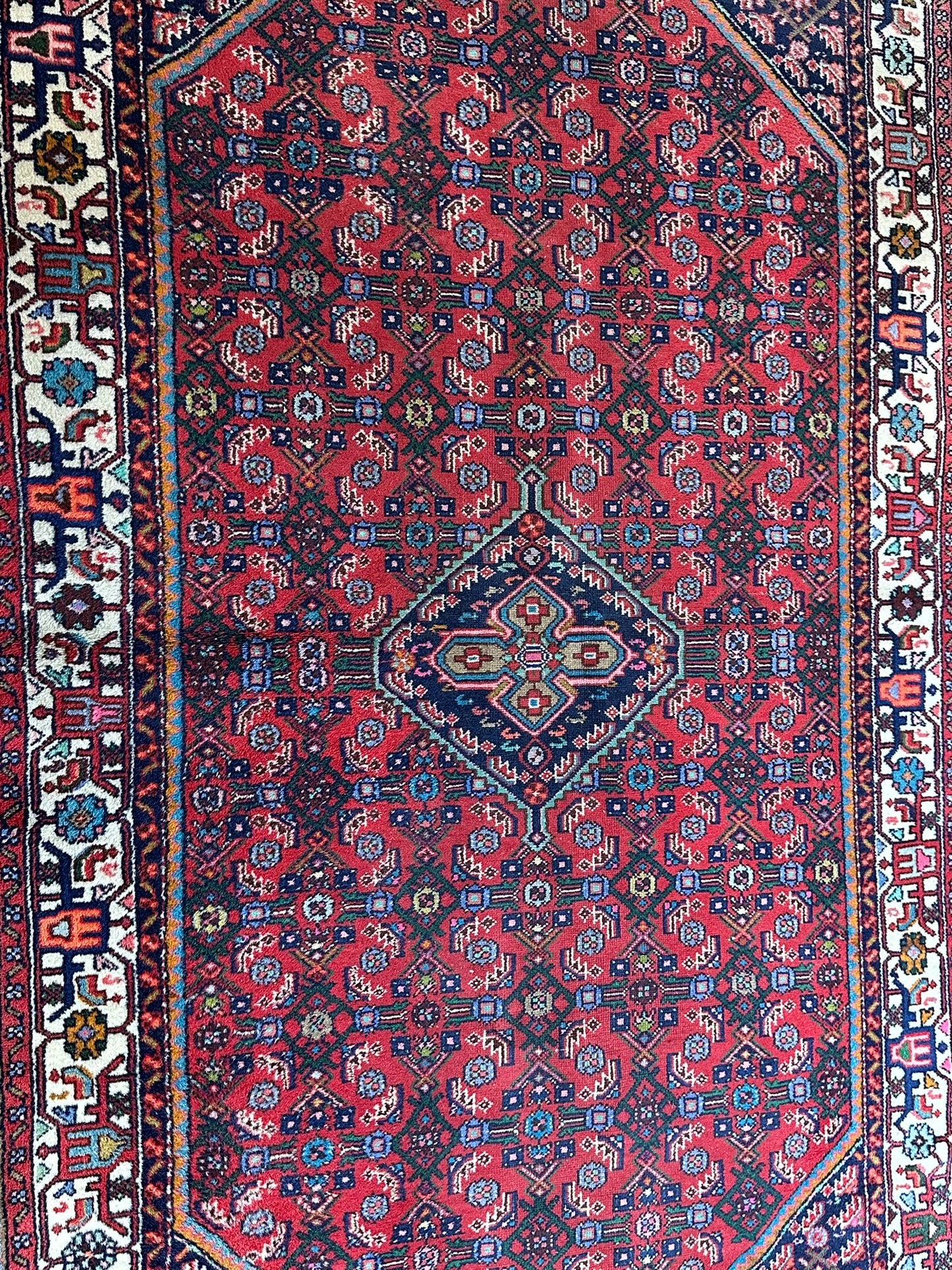 Orientteppich handgeknüpft Senneh Bidjar 210x135 cm