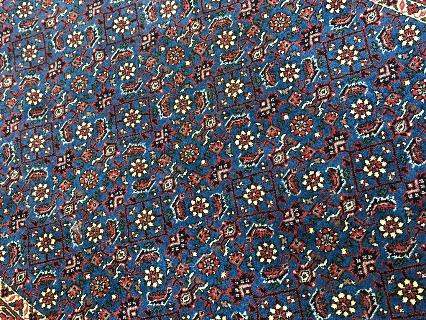 Orientteppich handgeknüpft 494x95 cm Bidjar Läufer