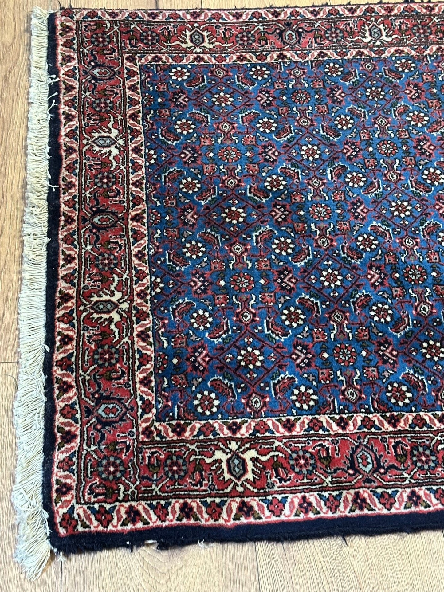 Orientteppich handgeknüpft 494x95 cm Bidjar Läufer